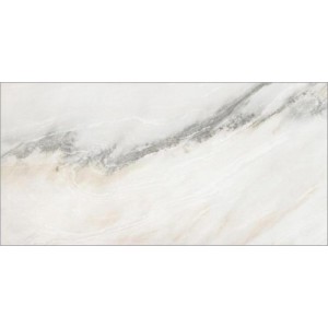 Gạch ốp tường Trường Thịnh WALL TILES YR81022B